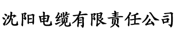 亚洲二区在线视频电缆厂logo